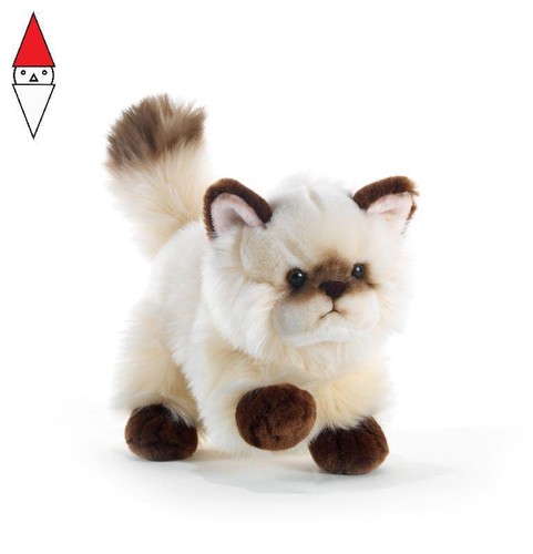 Peluche plush company - peluche, thaytoo