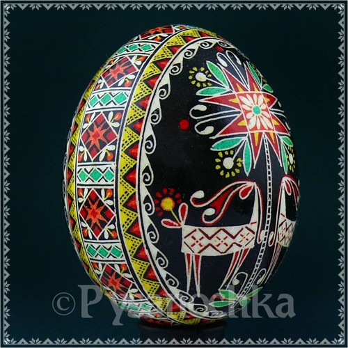Uovo pasqua vero ucraina - pasqua,