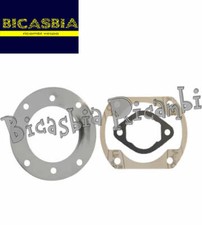 16172 - SERIE GUARNIZIONI MOTORE ROTAX 2T 250 cc 1936 - 2022