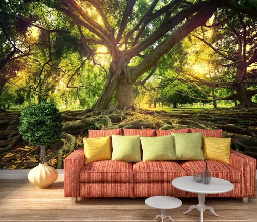 Old tree n2642 wallpaper - old,