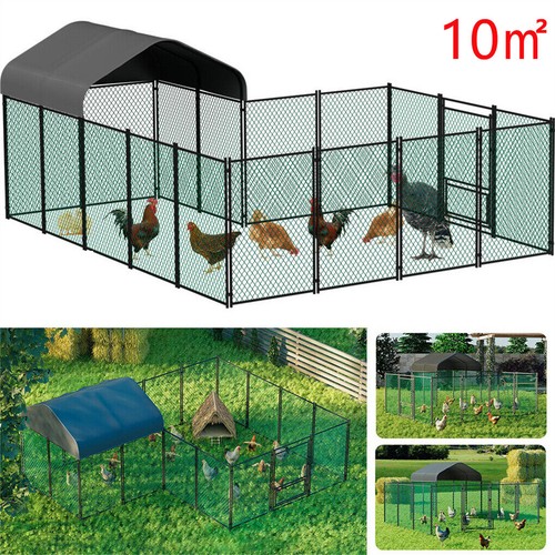 Pollaio xxl recinto - pollaio,
