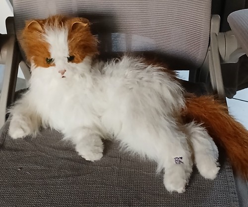 Peluche interactive chat - ,