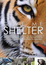 Give Me Shelter (DVD) Katie