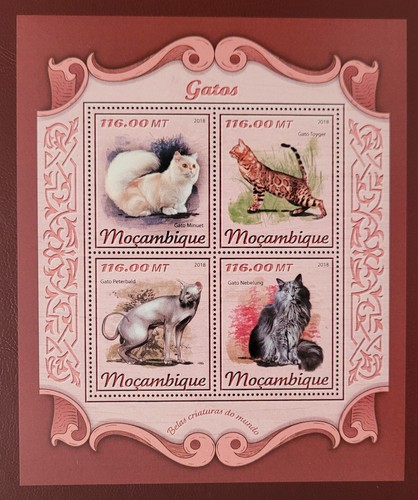 Mozambico 2018 fauna - mozambico,