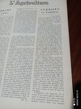 Bisignano Corbara Umbria