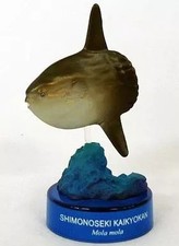 KAIYODO Sunfish Capsule