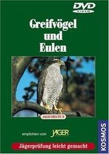Greifvögel und Eulen: Jagd