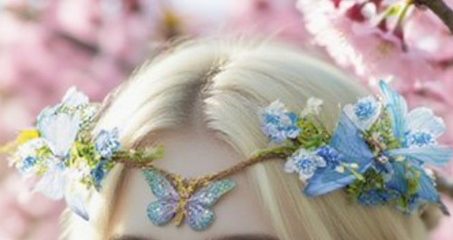 Woodland blue farfalla - woodland,