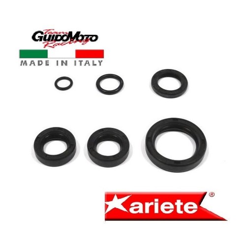 Paraolio motore moto guzzi - motore,