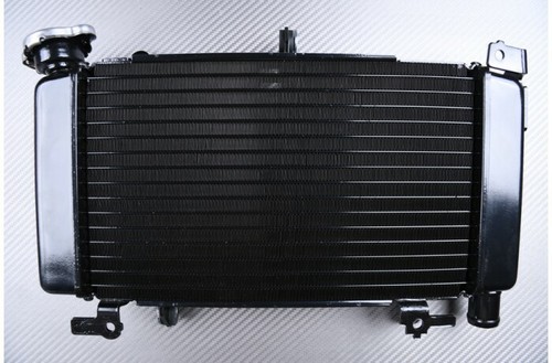 Radiatore acqua tipo - radiatore, originale