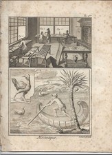 Denis Diderot Mosaïque Setzer