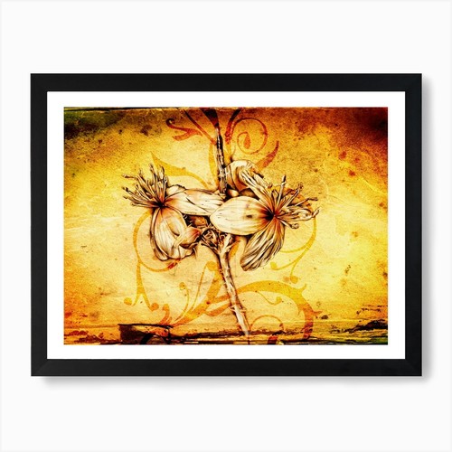 Fiore natura illustrazione - fiore,
