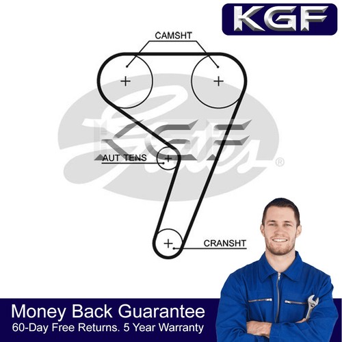Cinghia distribuzione kgf - cinghia,