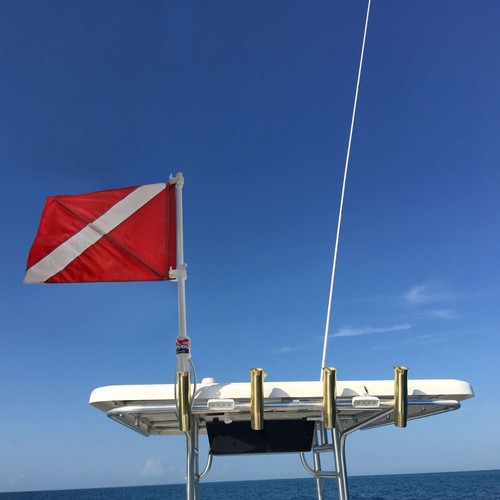 Spearfishing world porta canna - spearfishing,