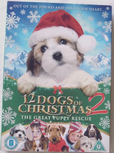 67639 dvd dogs - dvd,