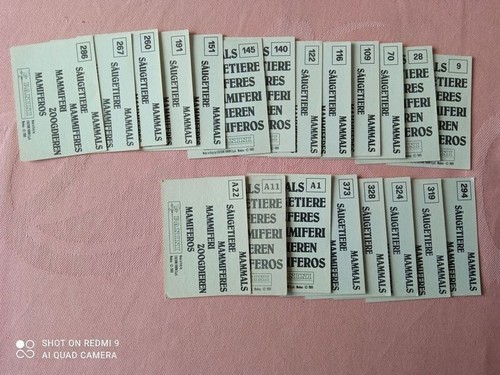 Panini 1989 mammiferi - 1989,