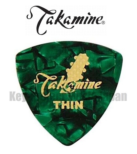 Takamine p1g sottile 5 - p1g-t, 0,5