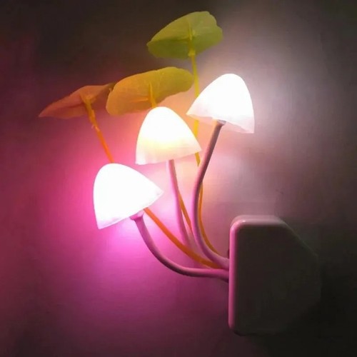 Luce notturna led - led, fungo
