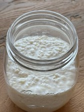 KEFIR DI LATTE GRANI |