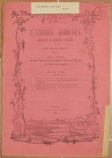 L'UMBRIA AGRICOLA 15 30 MAGGIO 1890 AGRICOLTURA CASERMA VINO PASSITO AUSTRALIA