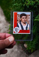 Figurina calciatori Panini