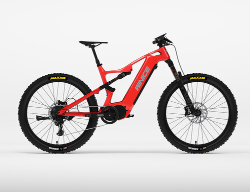 Bici elettrica dengfu e55 - elettrica,