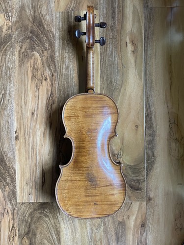Antico violino full size - , da