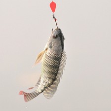  10 Pcs Attrezzature Da Pesca