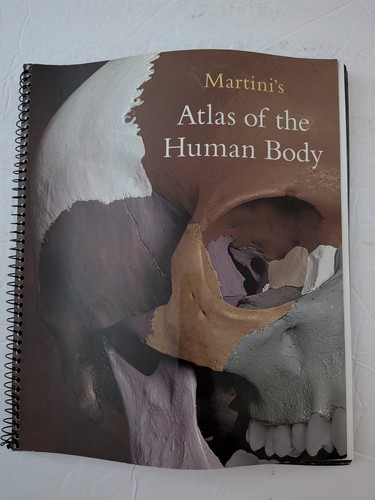 Martini atlas the human - of,