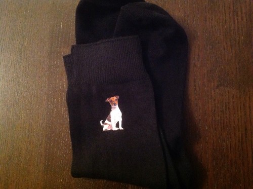 Jack russell terrier ladies - russell,
