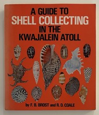 Shell Collecting In The