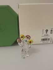 Swarovski Kris Bear Sensazioni