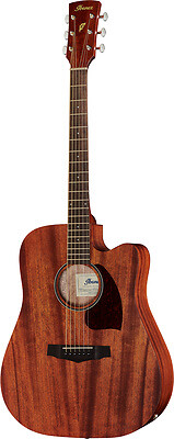 Ibanez chitarra acustica