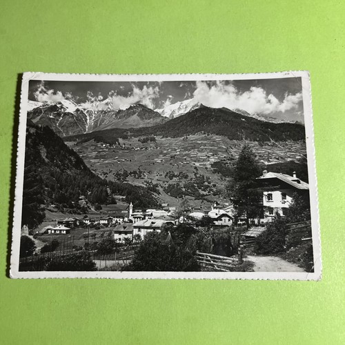 Cogolo val pejo trentino - di,