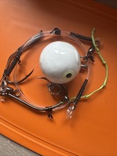 ESCA INTERNAZIONALE MERLUZZO