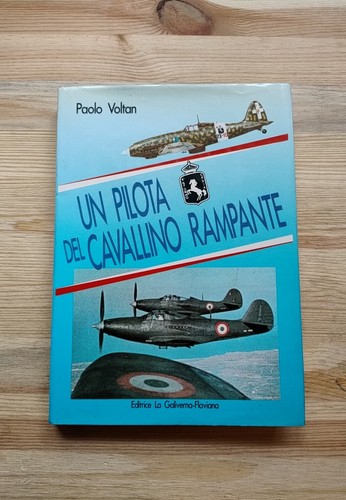 Pilota del cavallino - un,