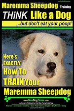 Maremma sheepdog - maremma,