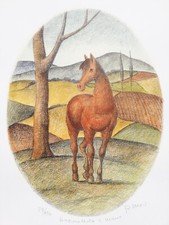 ROBERTO MASI: Tecnica Mista/Lito. Colorata a Mano 50x35 Firmata, Numerata. RARA!