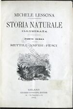 M. Lessona - Storia naturale