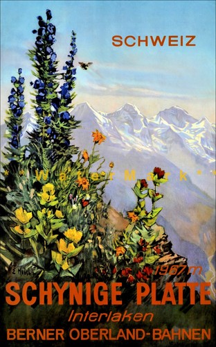 Svizzera 1950 schynige platte - svizzera,