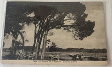 Cartolina Tenuta Di San Rossore Pisa Fp