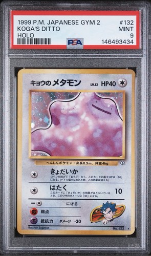 1999 pokemon palestra - pokemon,
