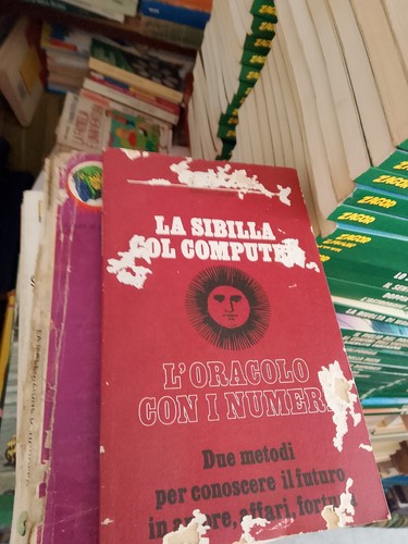 Sibilla col computer losengla - sibilla,