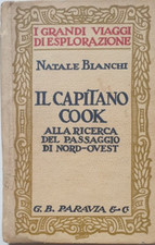 Il capitano Cook alla ricerca