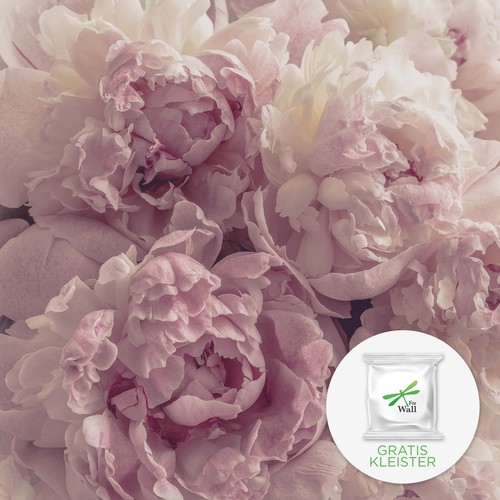 Carta parati rosa - da, fiori