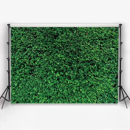 Yongfoto sfondo fotografico - yongfoto,