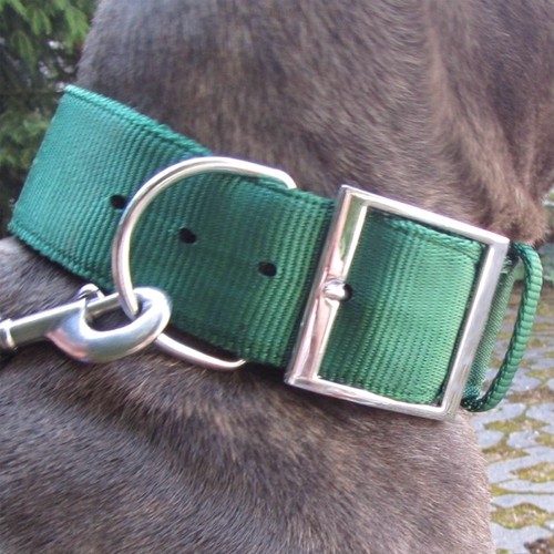 Collare nylon verde alano - collare,