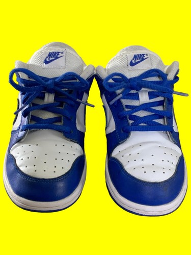 Nike dunk low - retro, sp