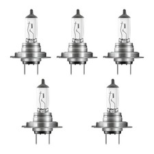 5 Lampadine H18 12V 65W