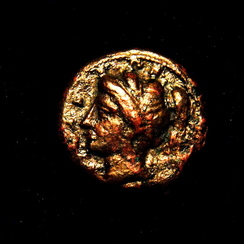 Hemilitron siracusa - Æ,